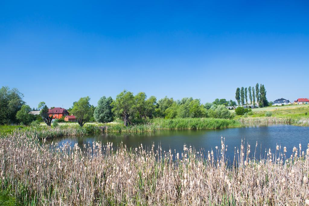 Zloty Staw Bed & Breakfast Gdańsk Exterior foto